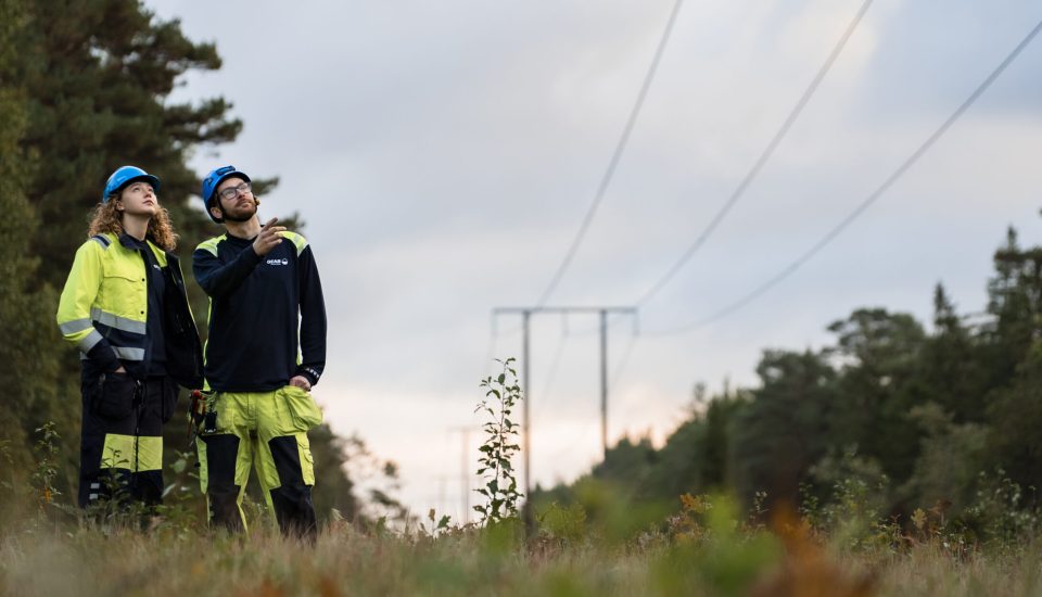 Två medarbetare som inspekterar luftledningar.