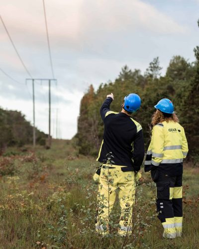 Elnat_gotland_host_stå