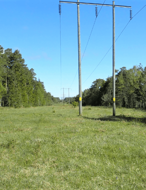 Ledning i skogsgata