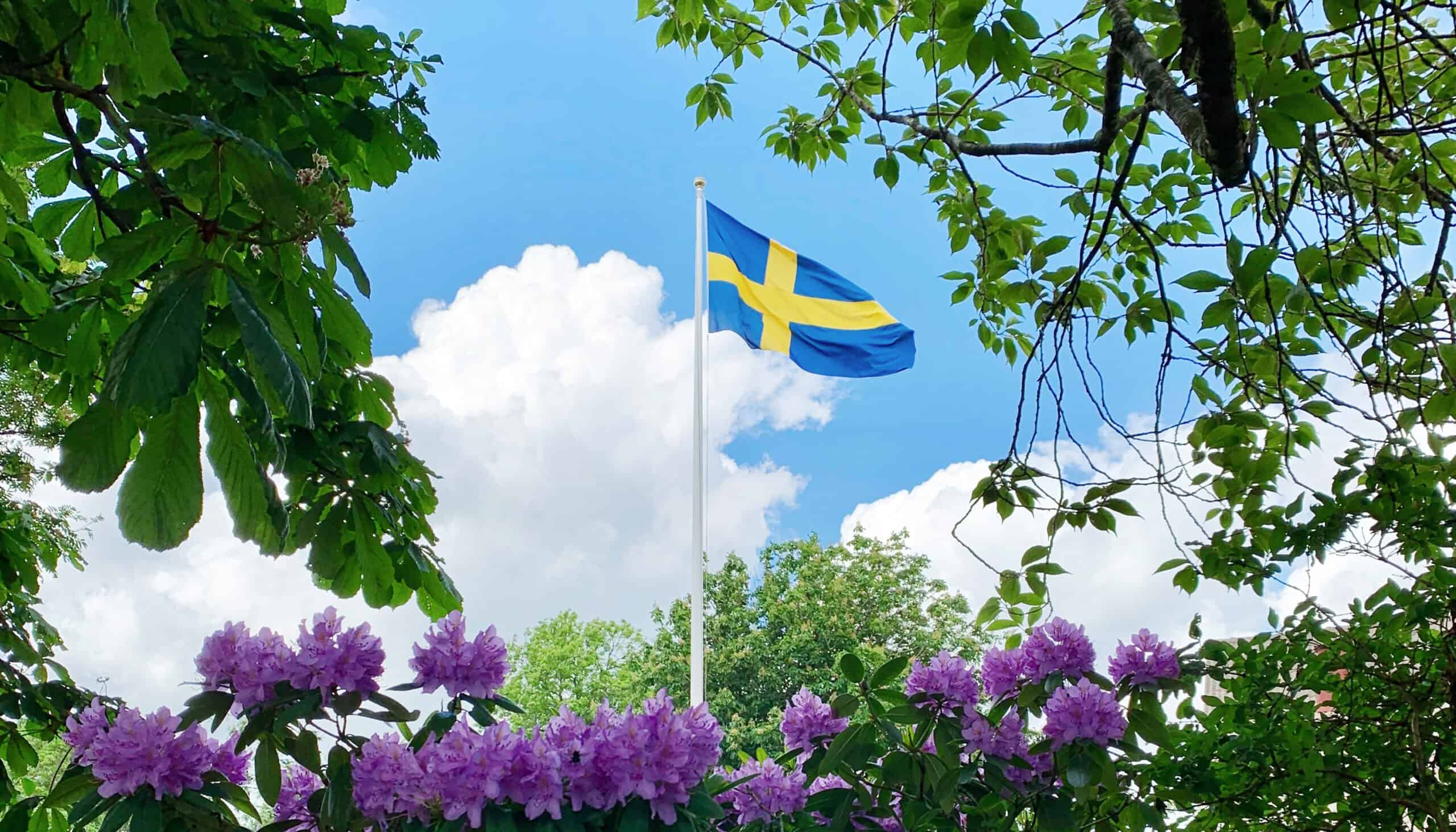 Svenska flaggan i topp
