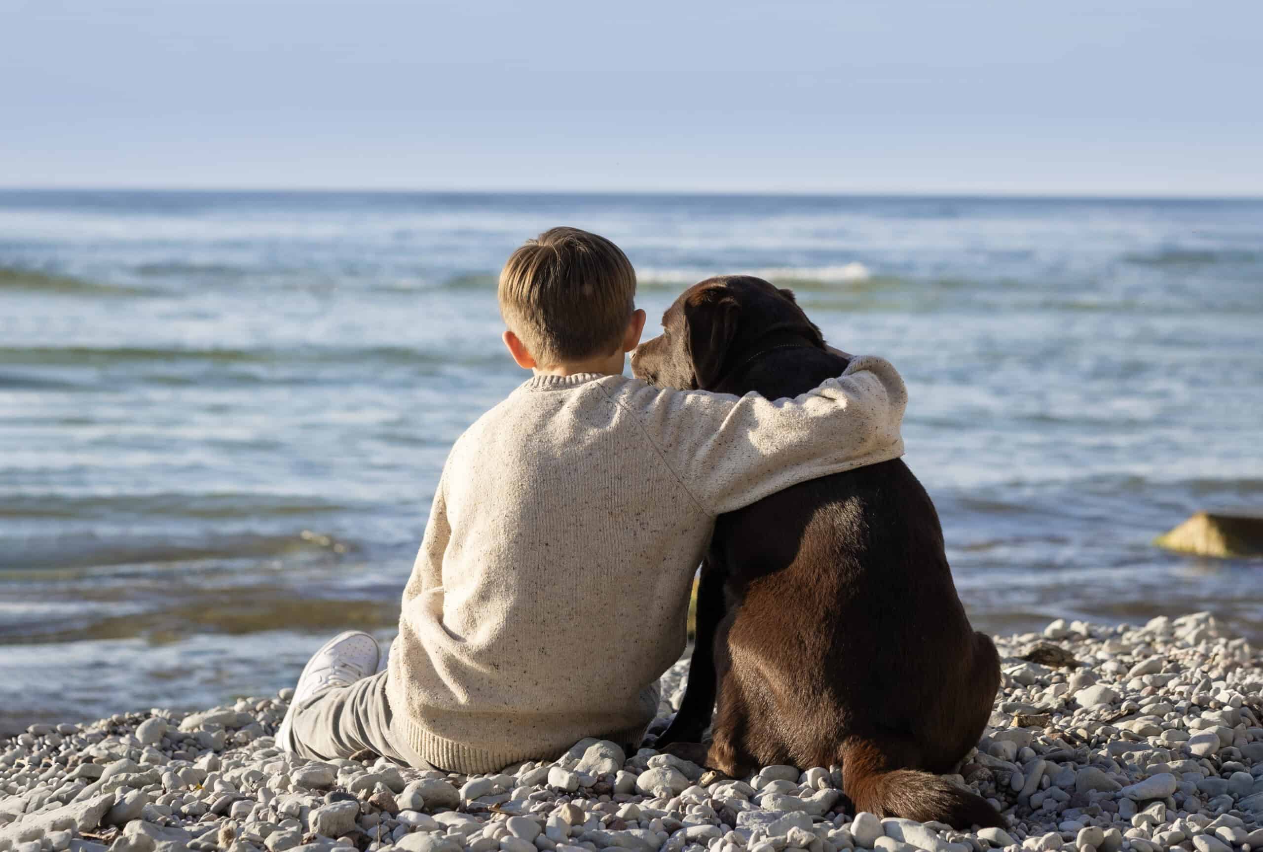 Barn som håller om en hund vid havet på en stenstrand.