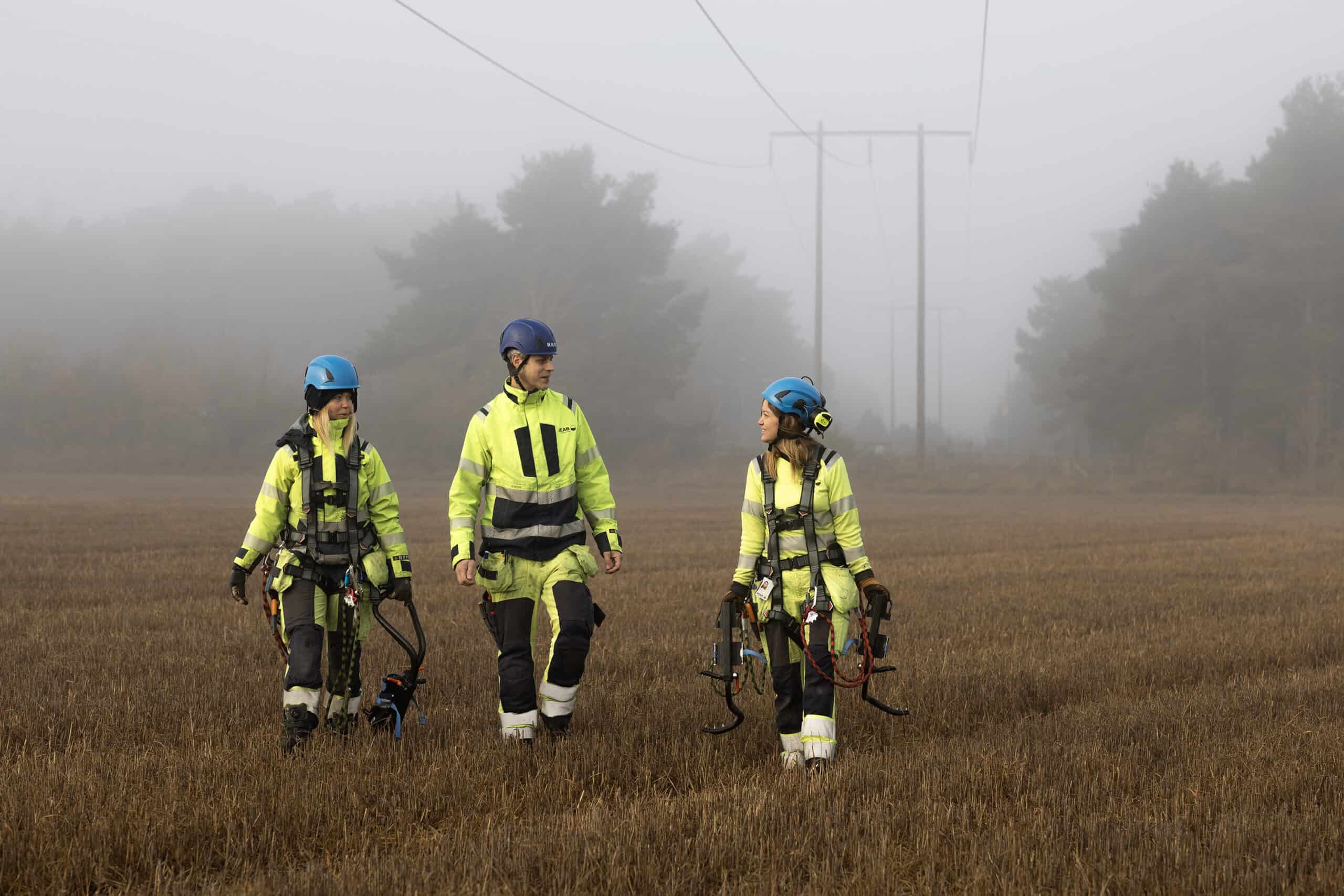 Talanger i ledningsgata