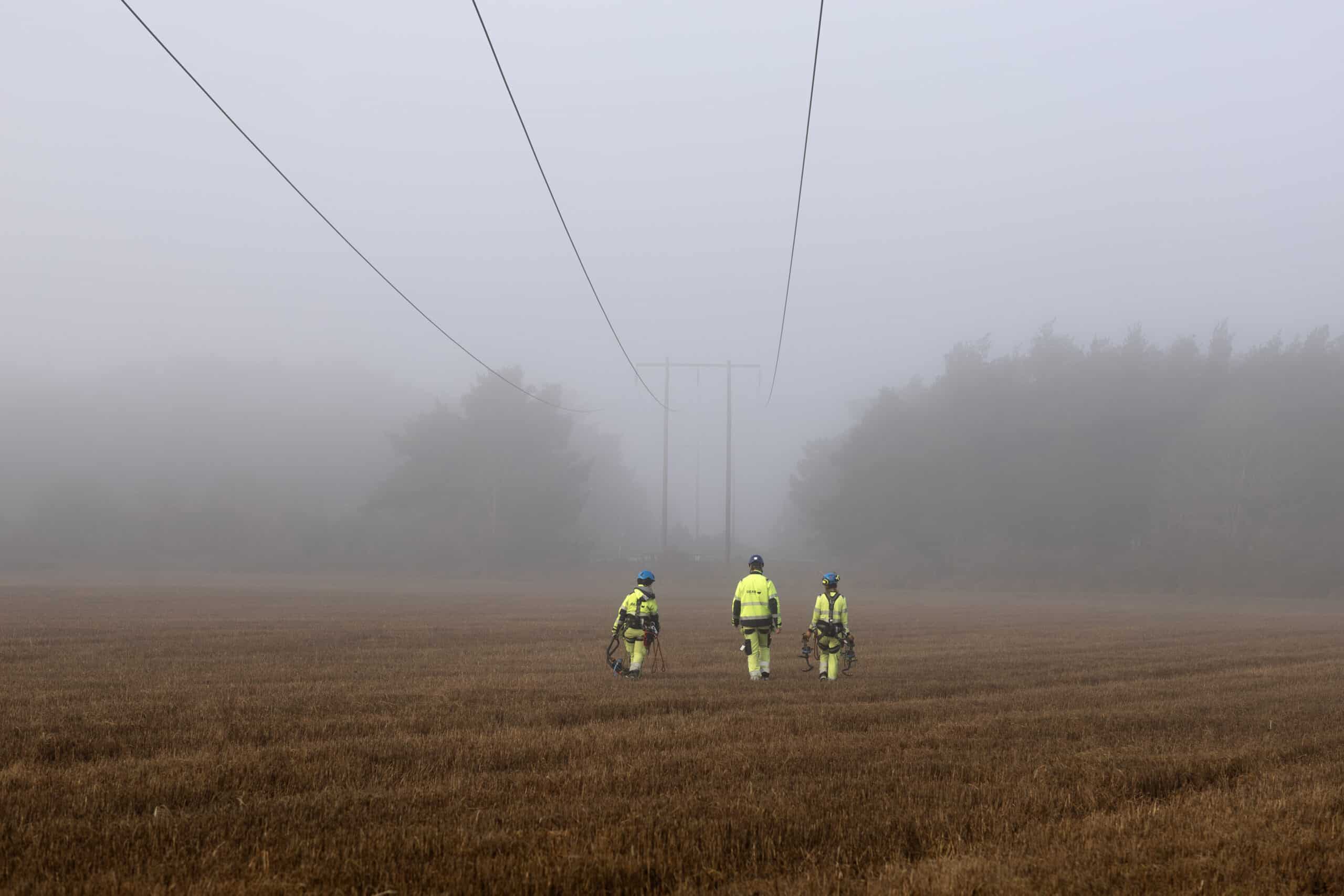 Tekniker på fält i ledningsgata
