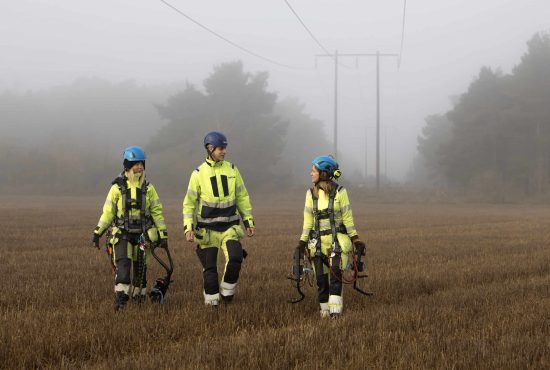 Talanger i ledningsgata en dimmig dag.