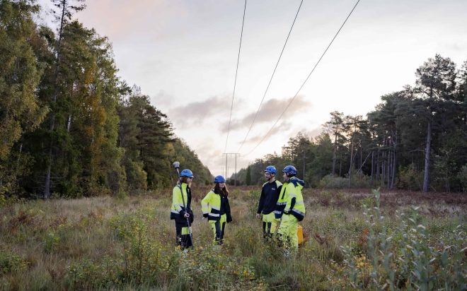 Tekniker i fält som partar med varandra